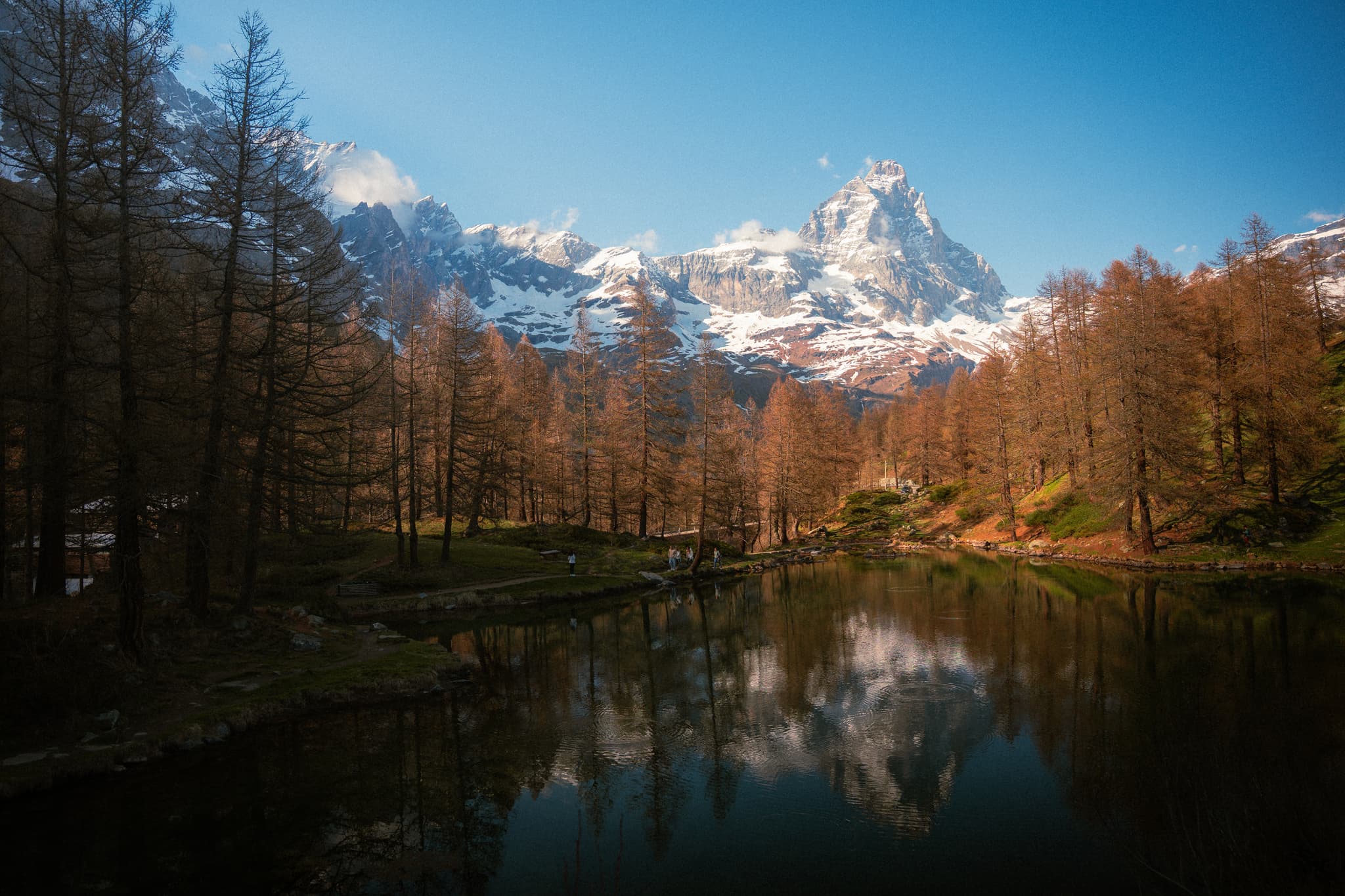 landscape-14