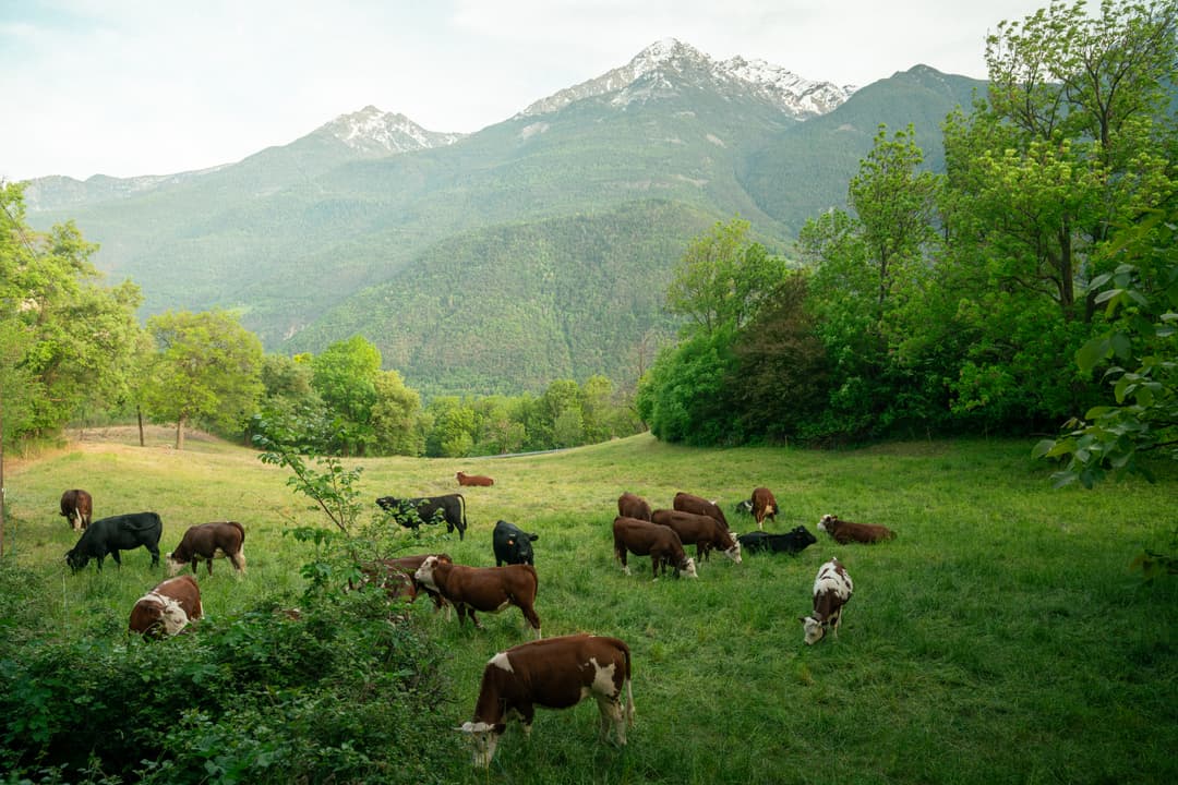 landscape-15.jpg