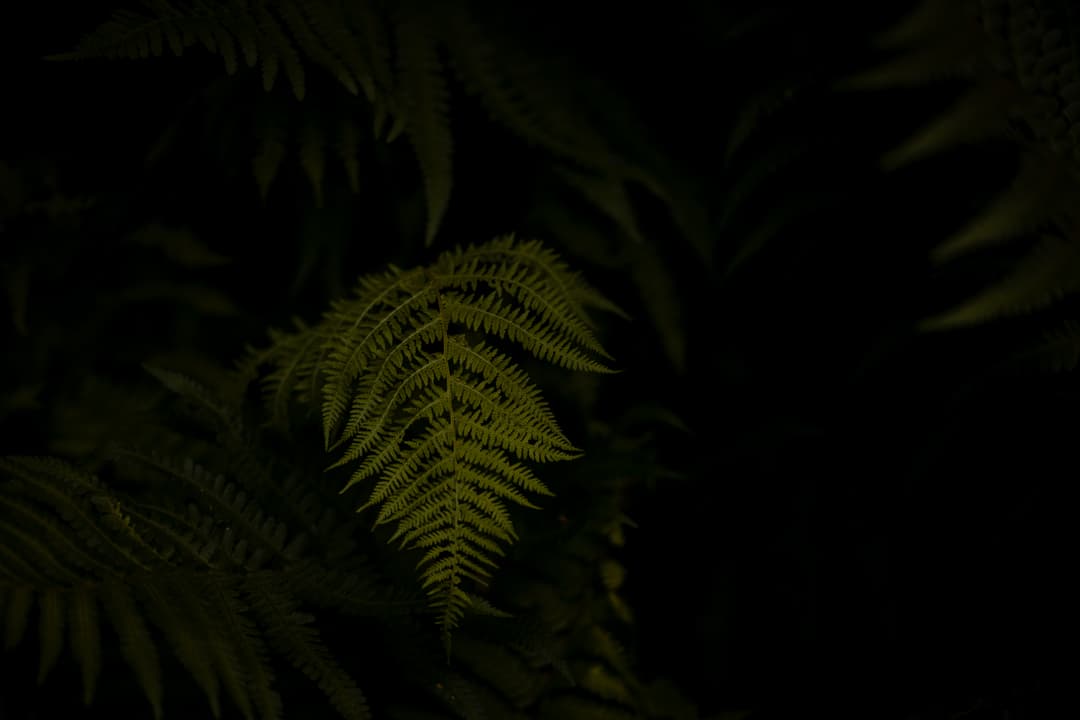 leaf-2.jpeg